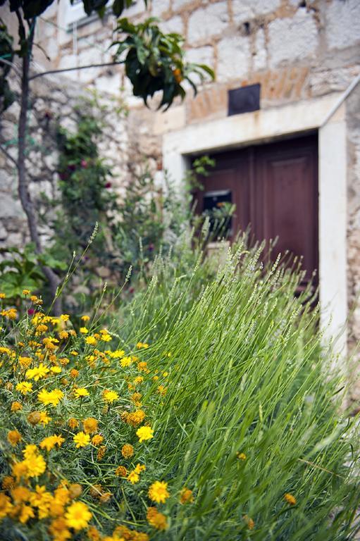 Dalmatian Garden - Free Parking - City Centre Σίμπενικ Δωμάτιο φωτογραφία
